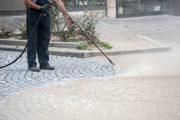  Pierson, FL Pressure Washing Pros