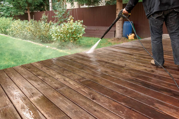 Best Pre-Holiday Cleaning  in Pierson, FL